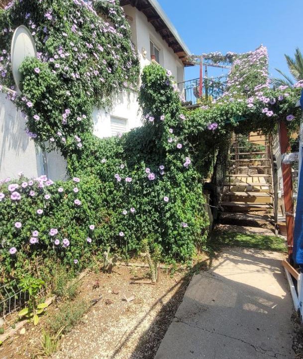Photo of Others in Ramot