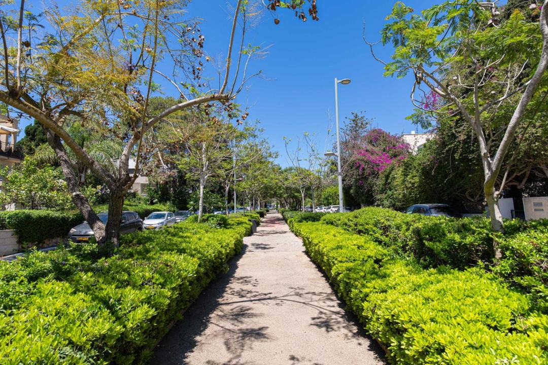 Photo of Others in Haifa