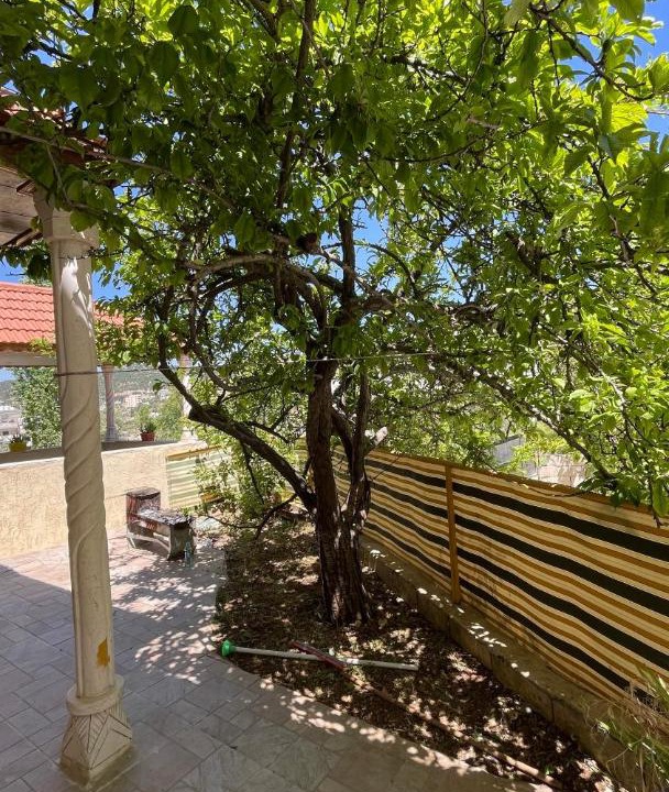 Photo of Others in Ajloun