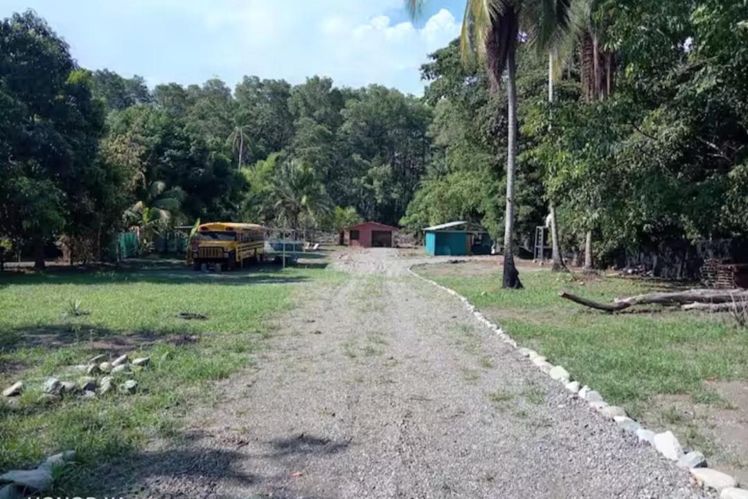 Photo of Others in Parrita