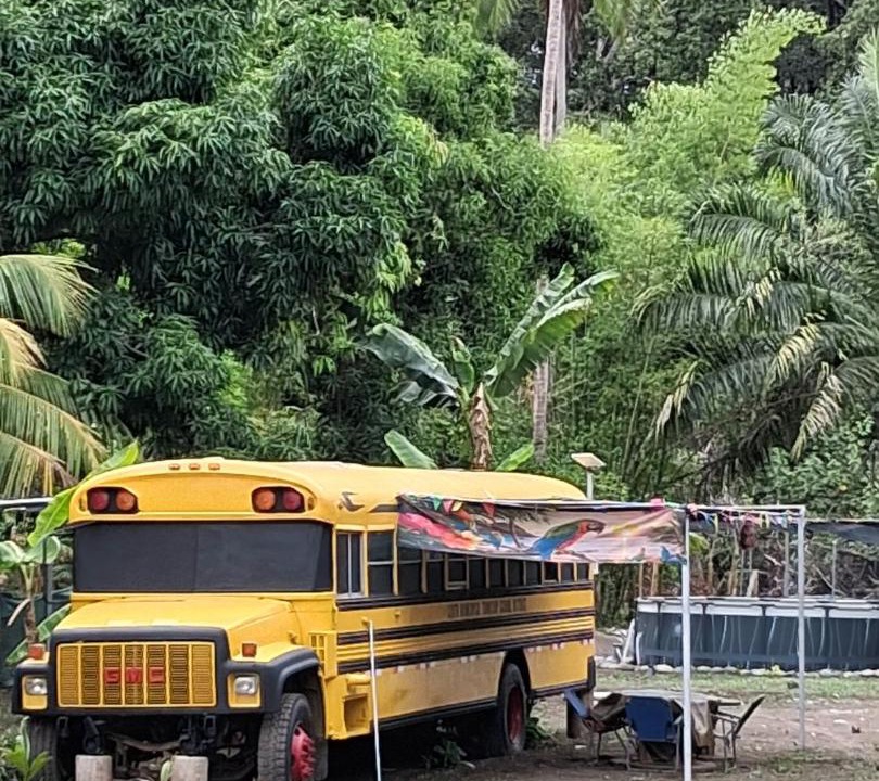 Photo of Others in Parrita