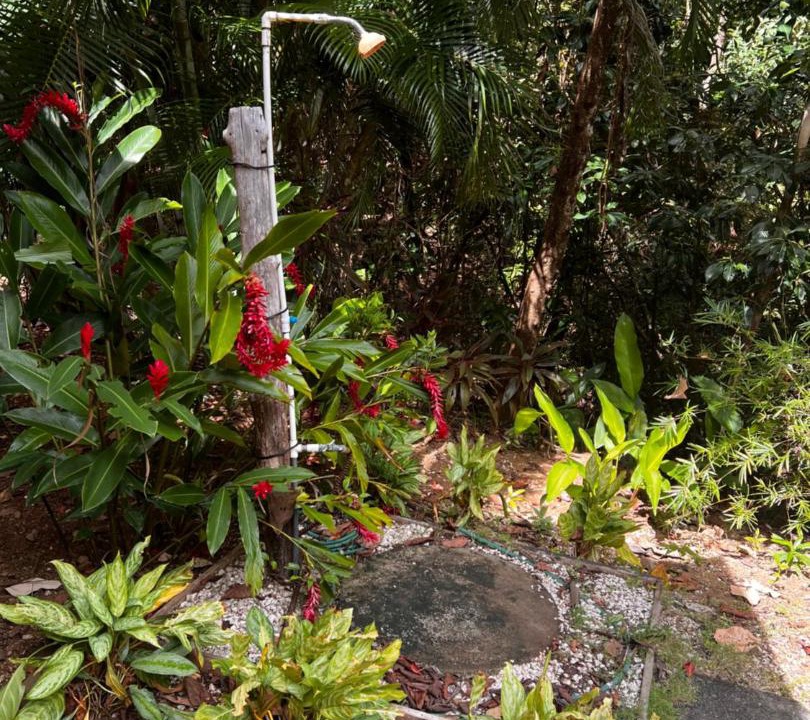 Photo of Others in Montezuma