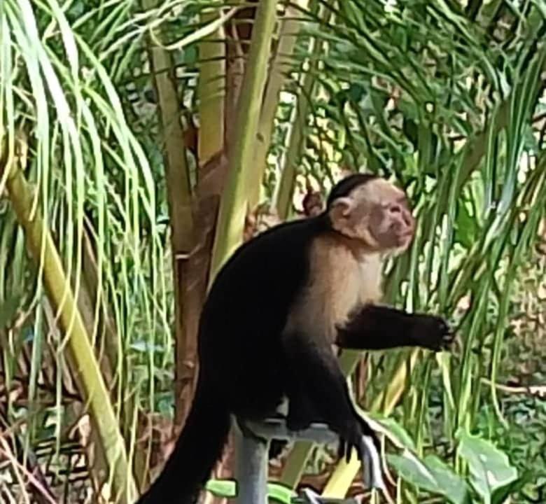 Photo of Others in Manzanillo
