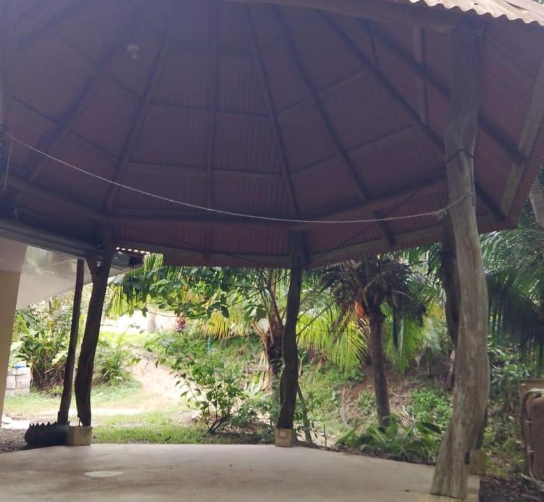 Photo of Others in Manzanillo