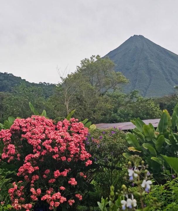 Photo of Others in La Fortuna
