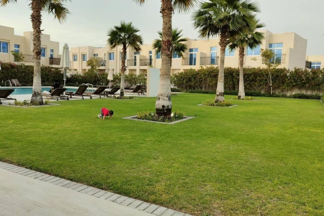 Photo of Others in Dubai