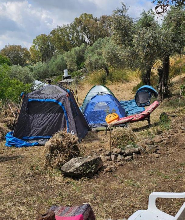 Photo of Others in Kfar Hoshen