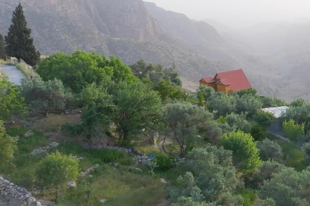 Photo of Others in Dana