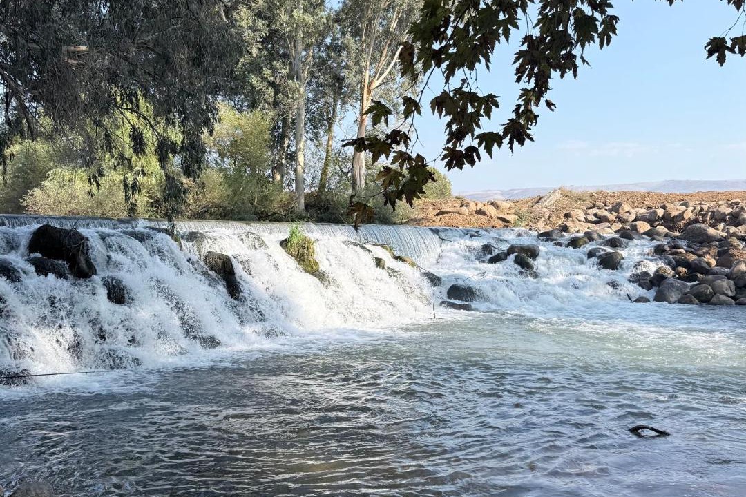 Photo of Others in Kfar Blum