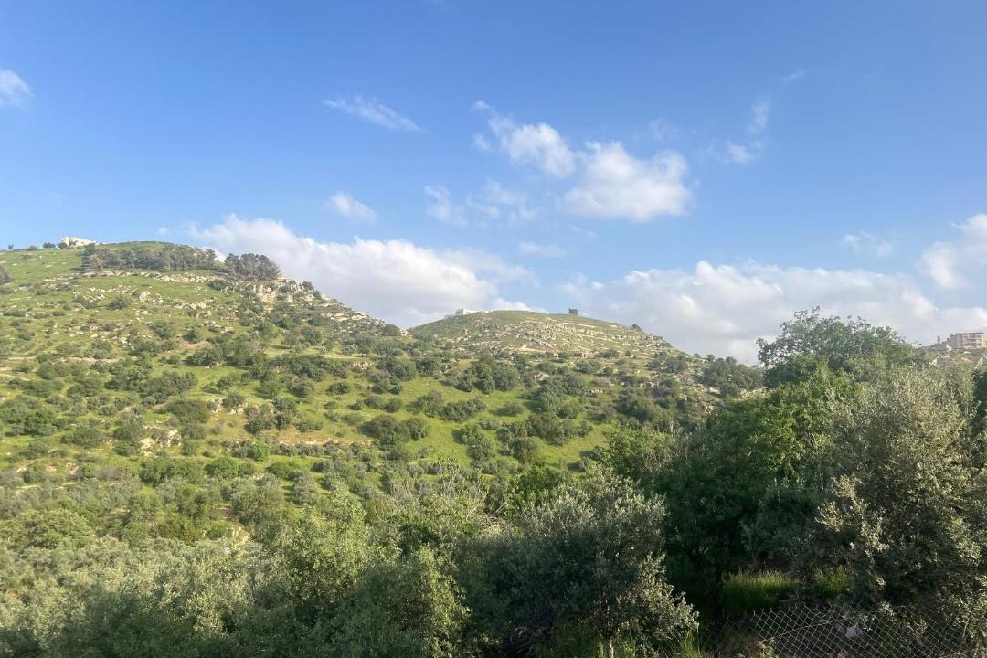 Photo of Others in Amman