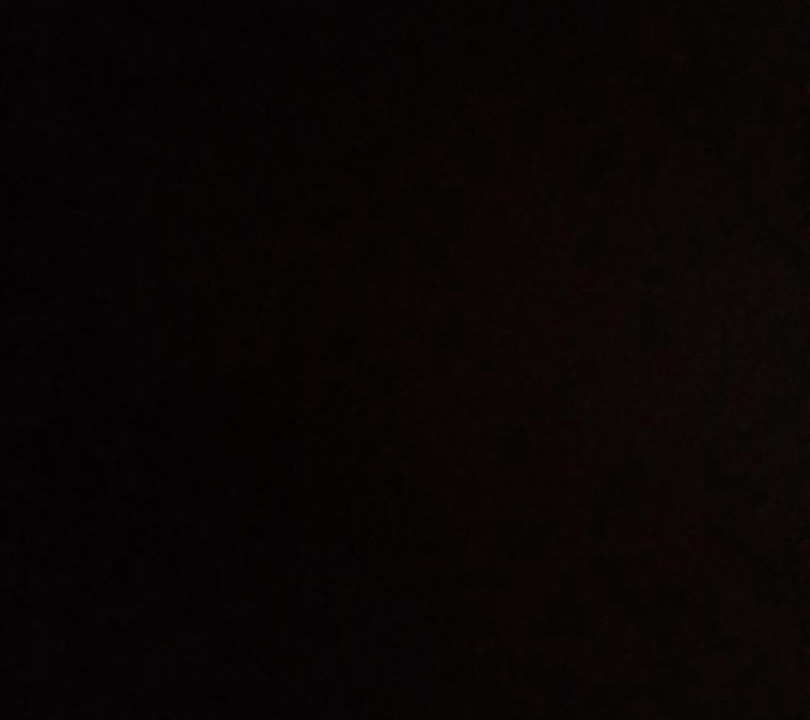 Photo of Others in Wadi Rum