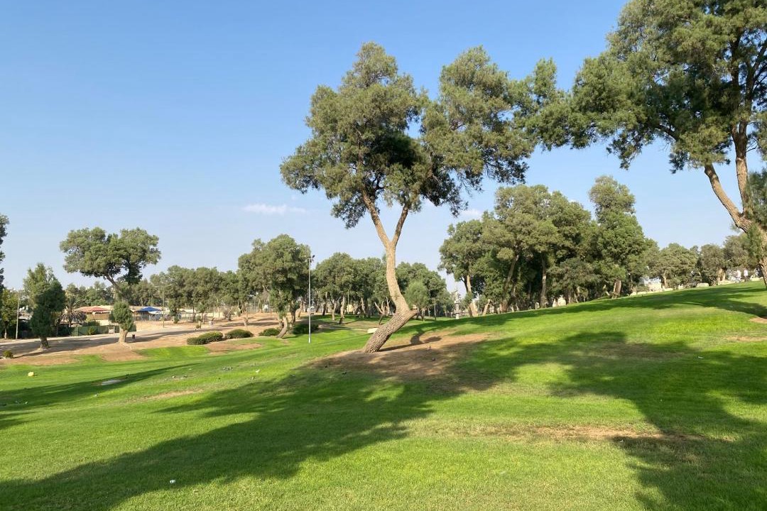 Photo of Others in Beersheba