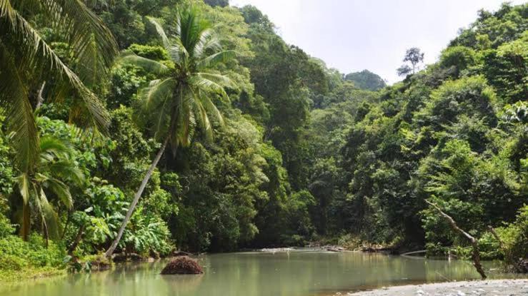 Photo of Others in Puerto Jimenez