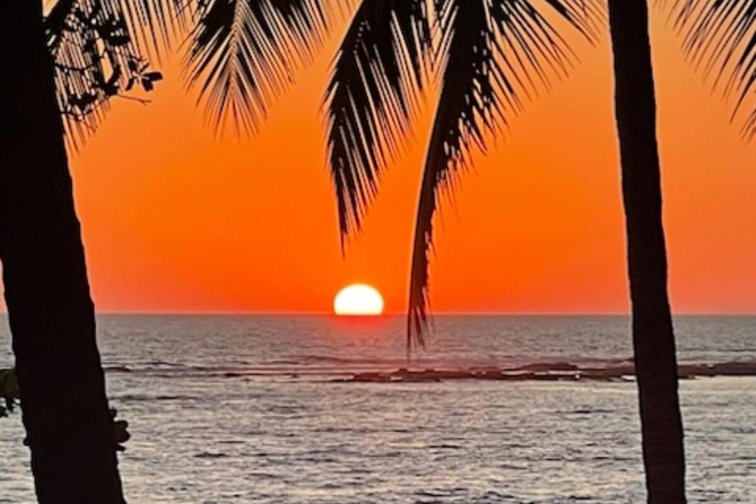 Photo of Others in Manzanillo