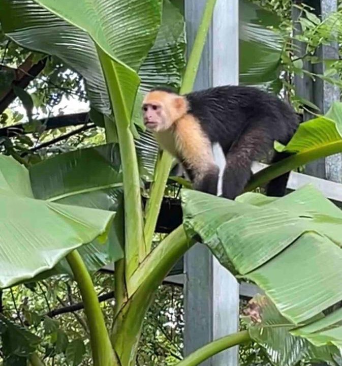 Photo of Others in Manzanillo