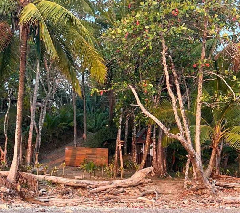 Photo of Others in Manzanillo