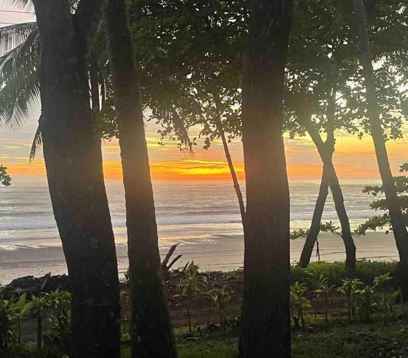 Photo of Others in Manzanillo