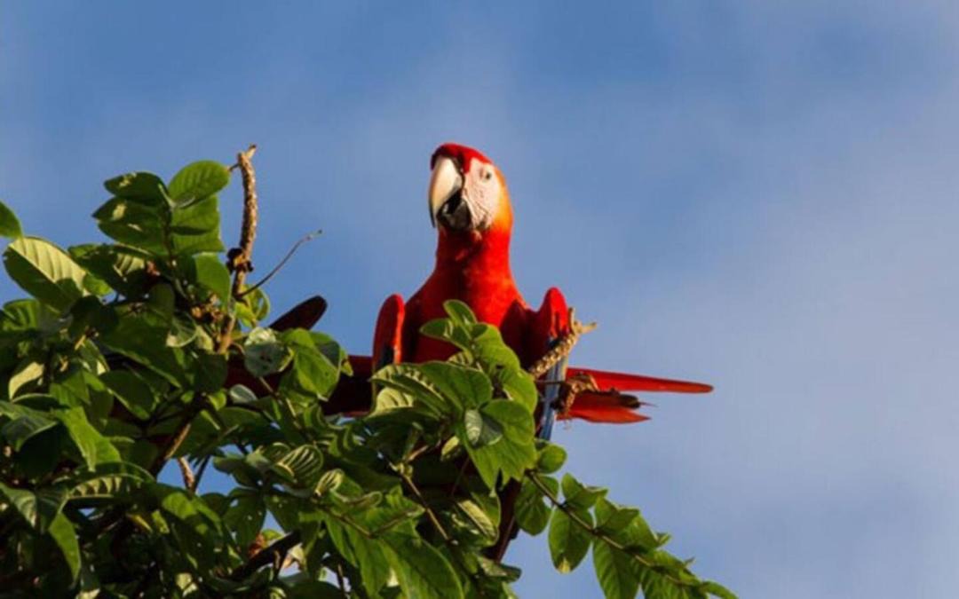 Photo of Others in Puntarenas