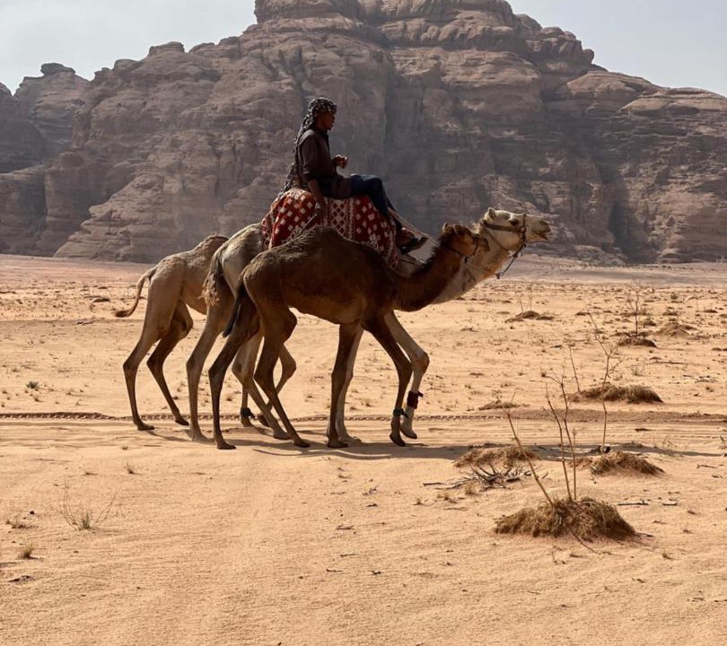 Photo of Human In Picture in Wadi Rum