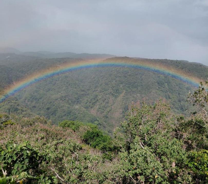Photo of Others in Monteverde