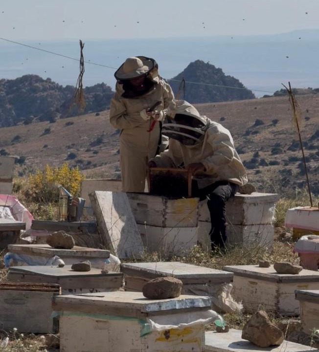 Photo of Others in Dana