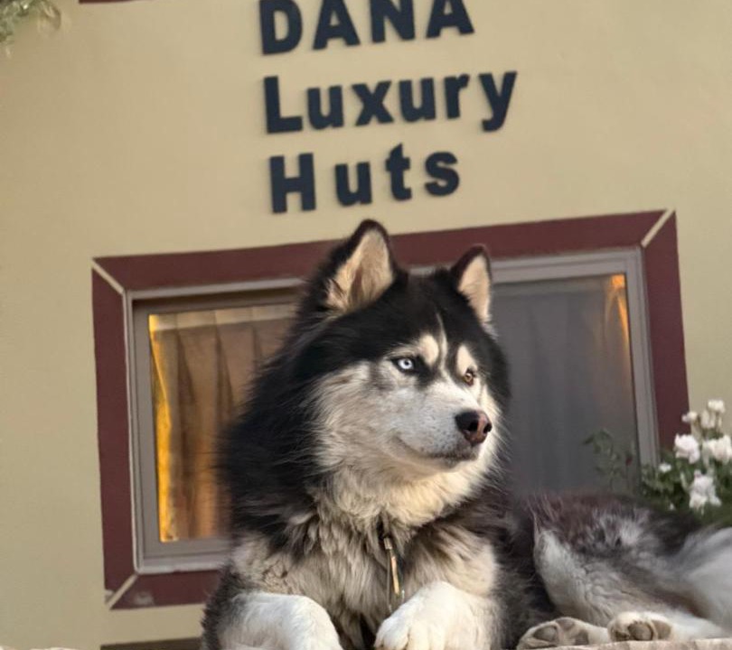 Photo of Others in Dana