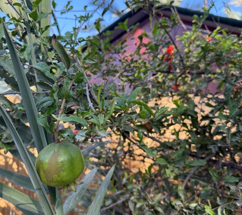 Photo of Outdoor in Masafi