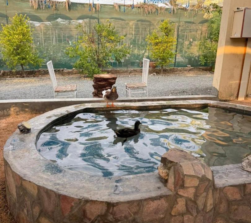 Photo of Others in Masafi
