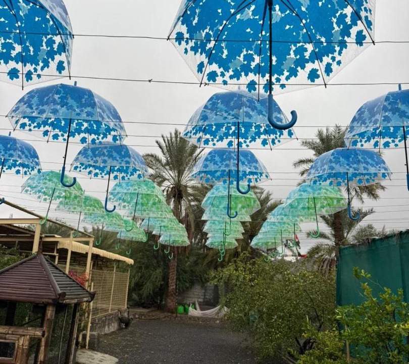 Photo of Outdoor in Masafi