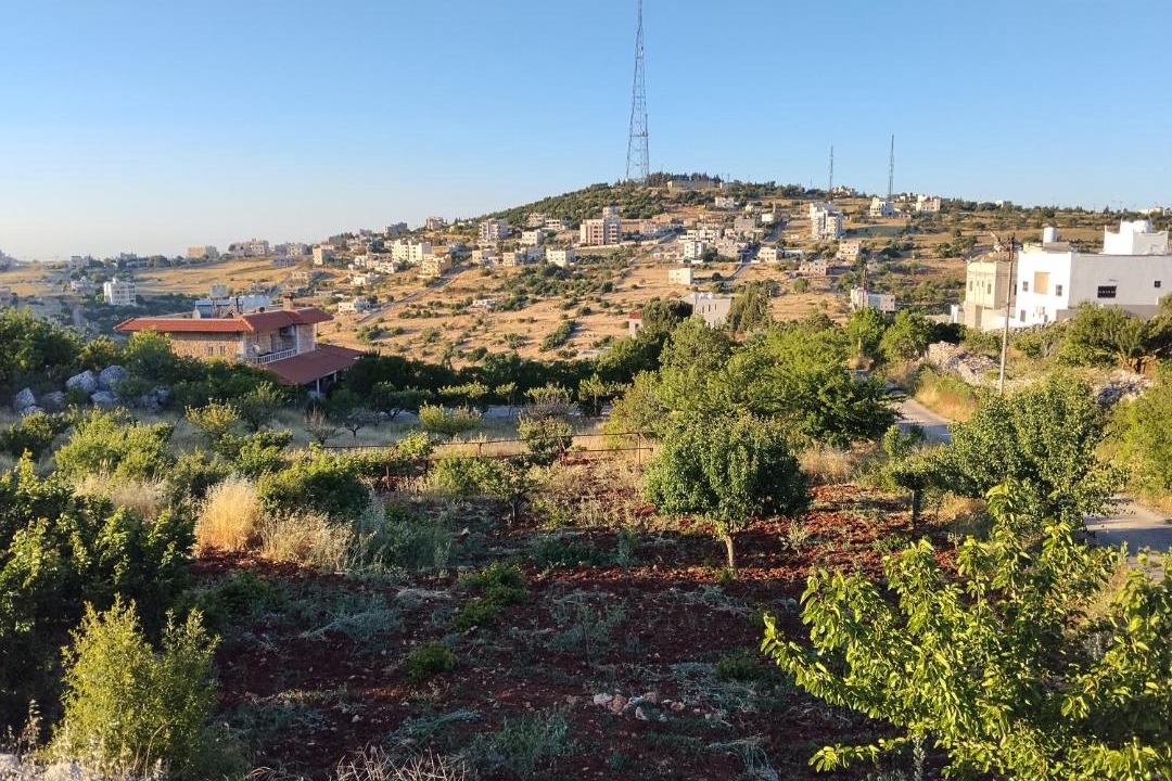 Photo of Others in Ajloun Governorate