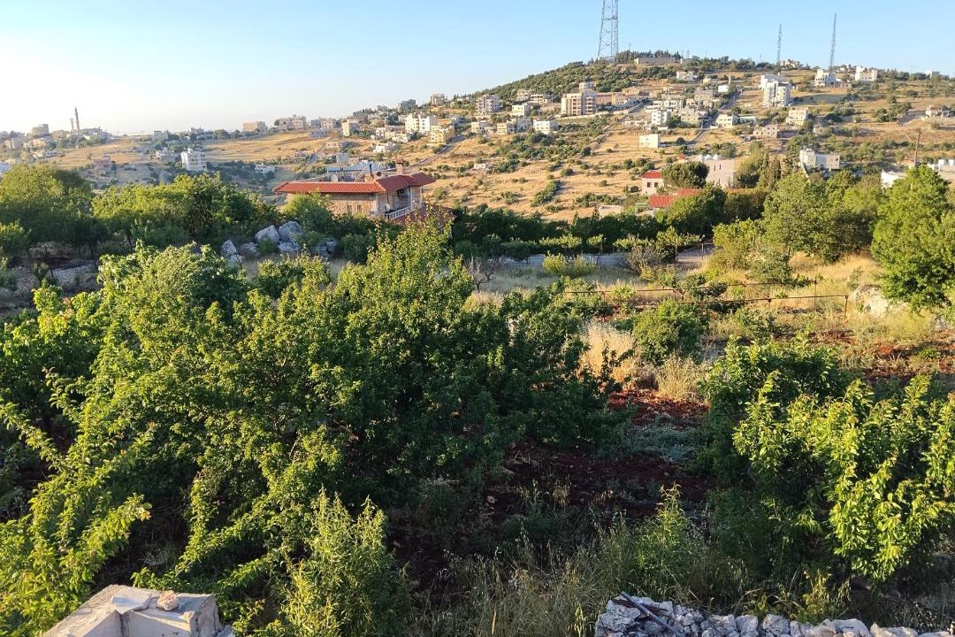 Photo of Others in Ajloun