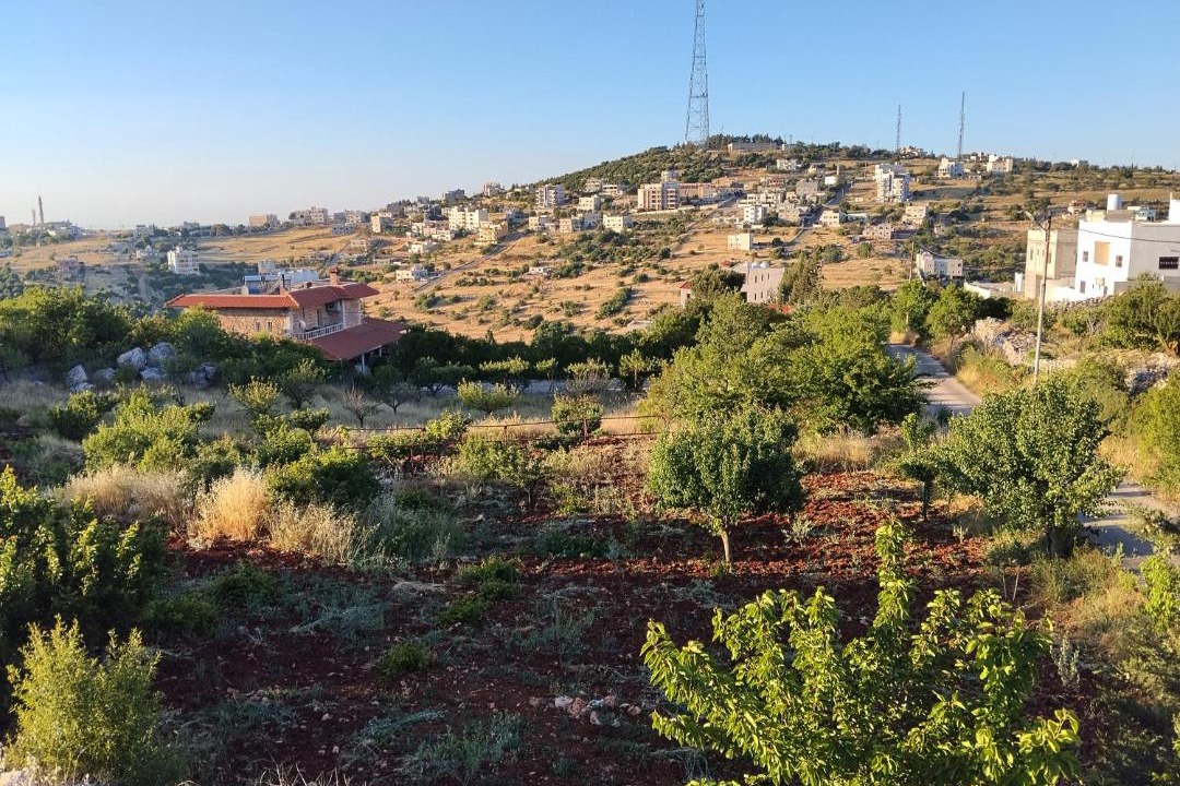 Photo of Others in Ajloun
