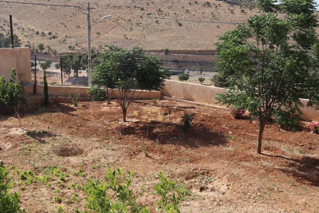 Photo of Others in Jordan
