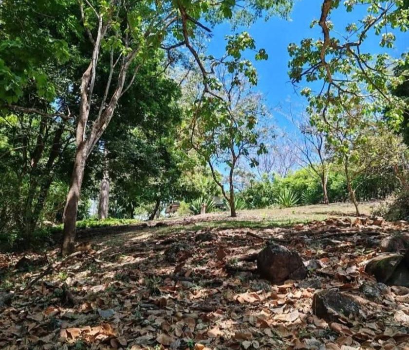 Photo of Outdoor in Penjamo