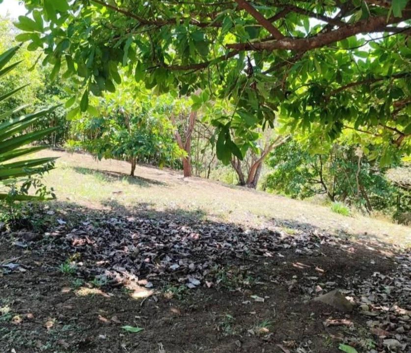 Photo of Others in Penjamo