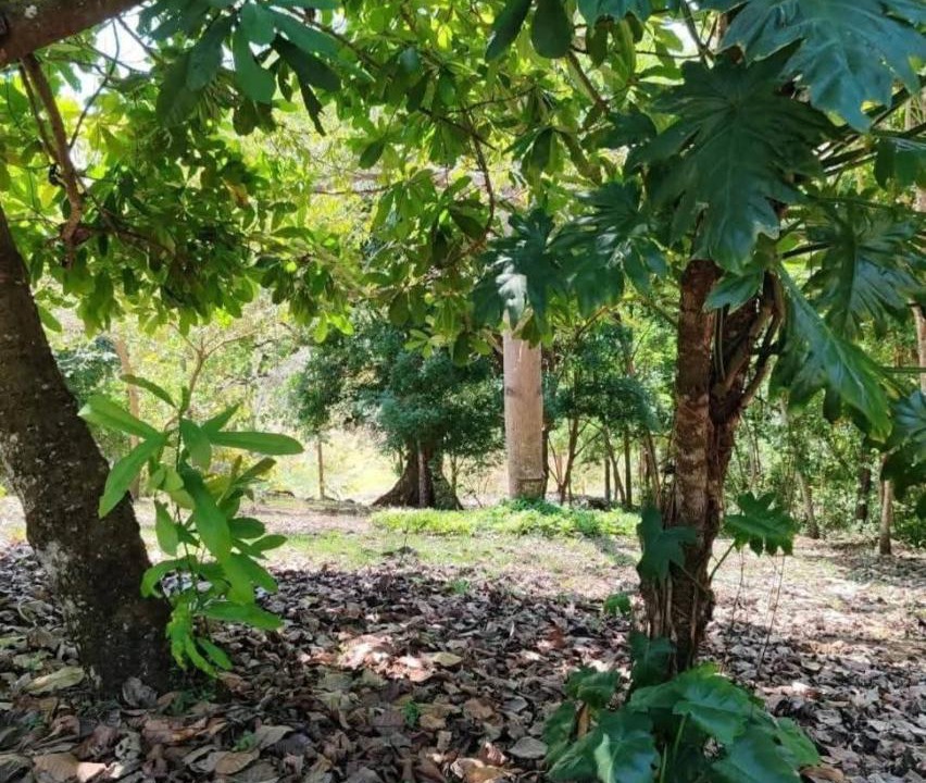Photo of Outdoor in Penjamo