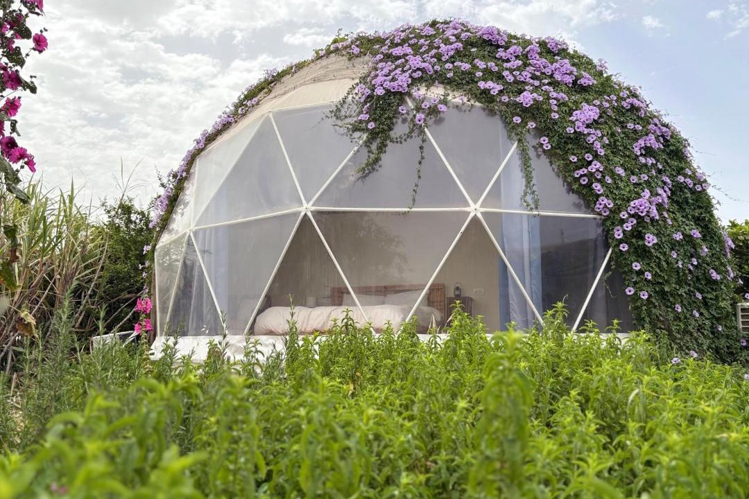Photo of Outdoor in Yavne'el