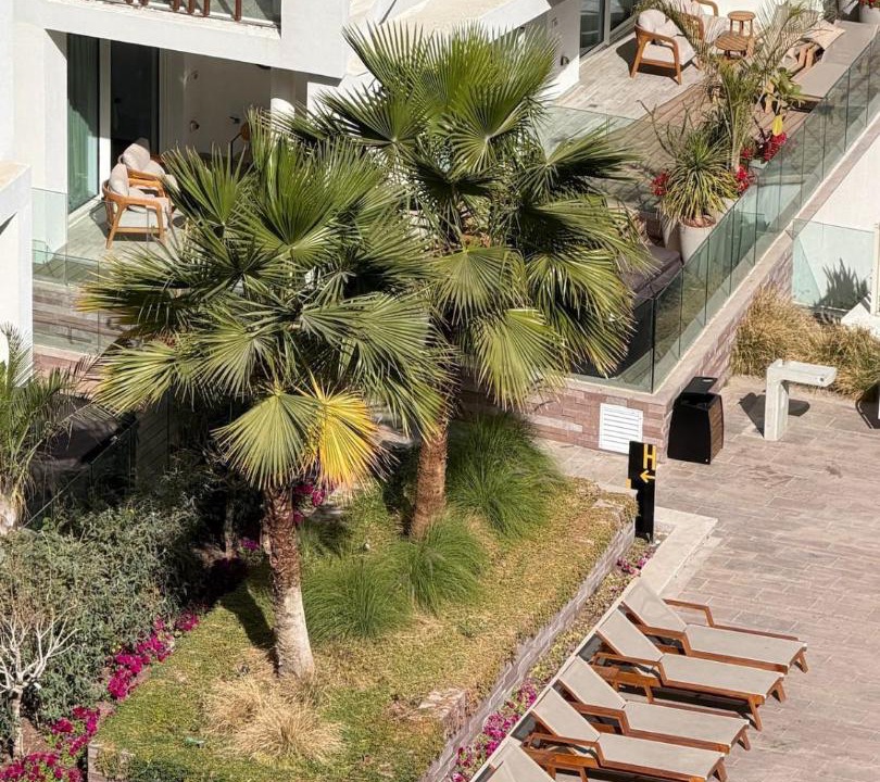 Photo of Others in Eilat
