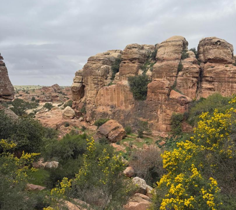 Photo of Others in Dana