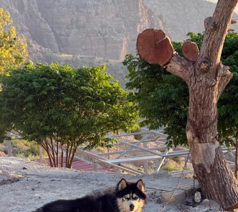 Photo of Others in Dana