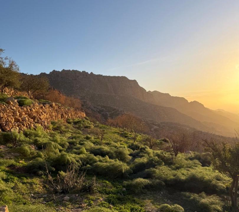 Photo of Others in Dana