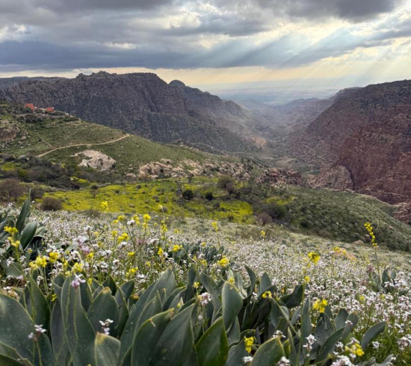 Photo of Others in Dana