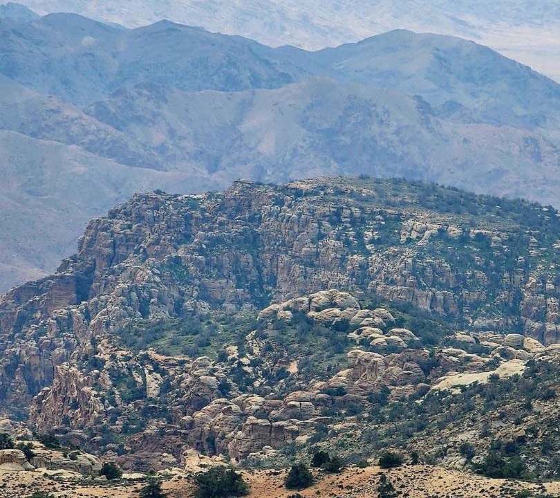 Photo of Others in Dana