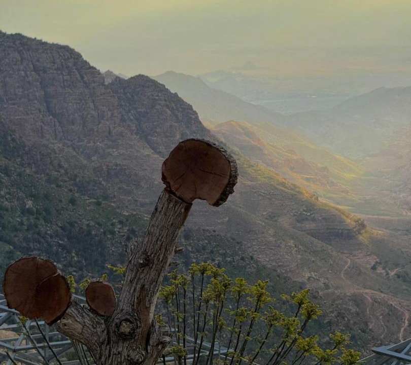 Photo of Others in Dana
