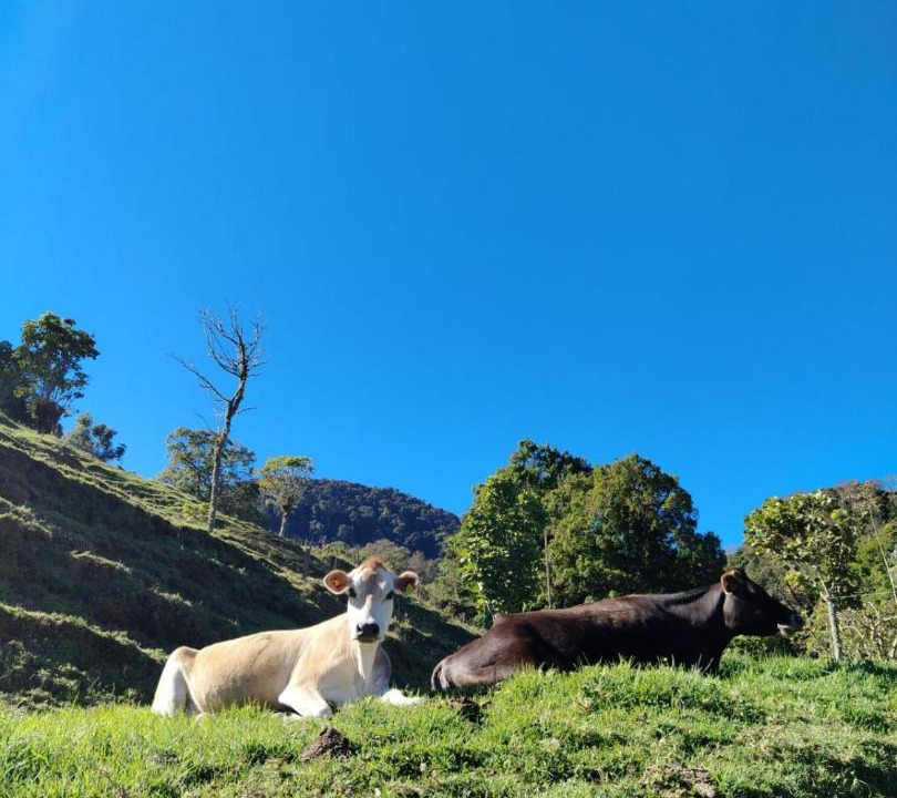Photo of Others in Copey