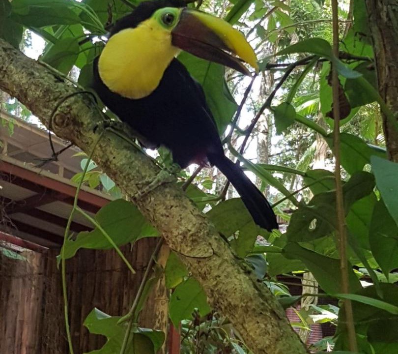 Photo of Others in Cahuita