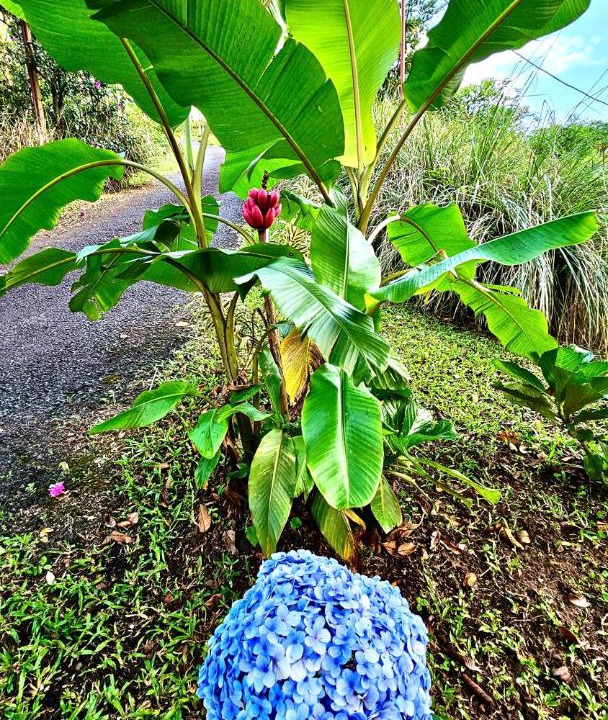 Photo of Outdoor in Garabito