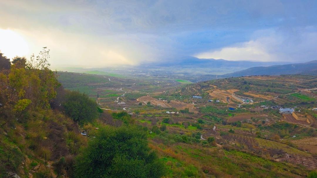 Photo of Others in Ein Qiniyye