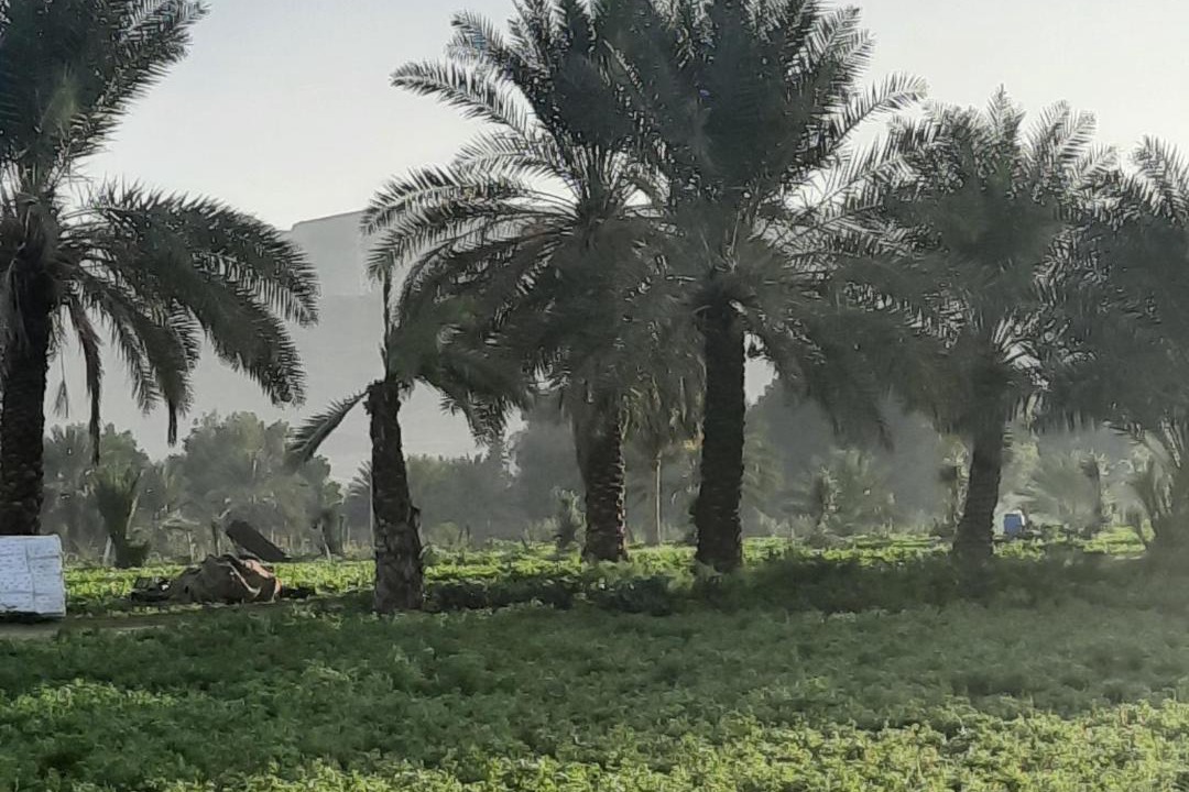 Photo of Others in Al-Maghtas
