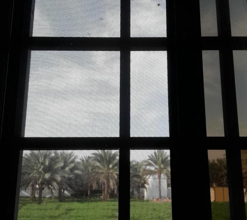 Photo of Others in As Sifah